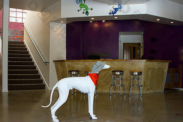 室内现代酒店陶瓷狗前面桌子上