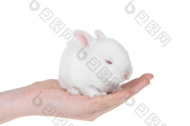 年轻的高加索人手持有白化白色婴儿兔子累了睡觉孤立的白色