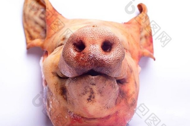切碎猪肉头底视图白色背景猪肉肉概念孤立的特写镜头