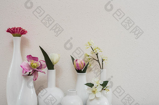 粉红色的花花瓶白色背景