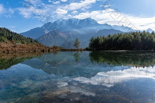 完美的镜子反射雪封顶山孤独的树高山湖尼泊尔