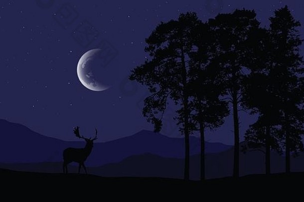 现实的插图鹿轮廓山景观森林松柏科的树紫色的晚上天空星星不尽