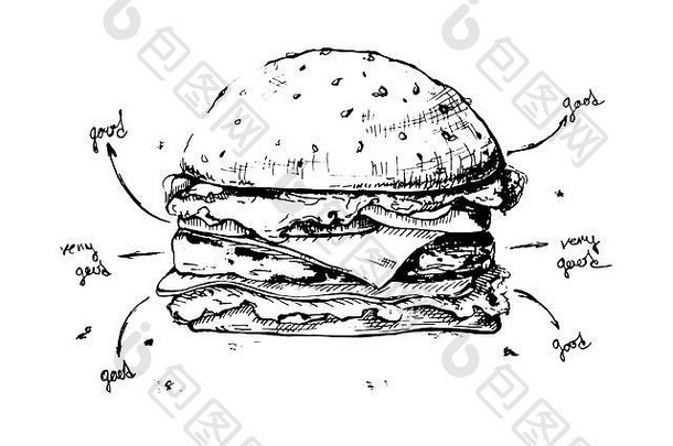 汉堡草图孤立的白色背景向量插图