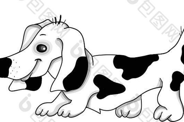 达克斯猎犬狗白色背景向量插图