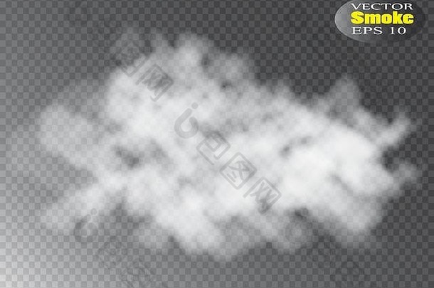 雾烟孤立的透明的特殊的效果白色向量暗晦雾烟雾背景向量插图
