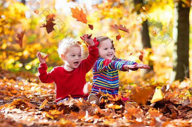 快乐孩子们玩美丽的秋天公园温暖的阳光明媚的秋天一天孩子们玩金枫木叶子焦点女孩