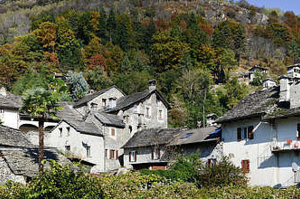 农村村verscio瑞士