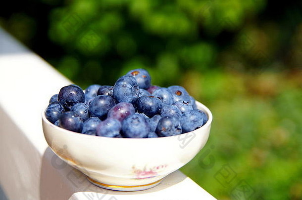 新鲜选蓝莓古董陶瓷碗白色木梁谷蛋白免费的蓝莓白色木栏杆绿色花园