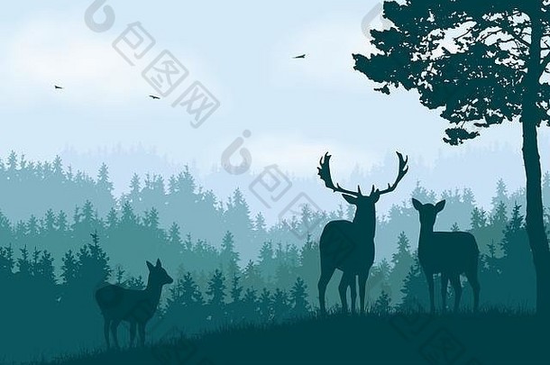 现实的插图山景观松柏科的森林清晰的蓝色的绿色天空白色云鹿做鹿相关