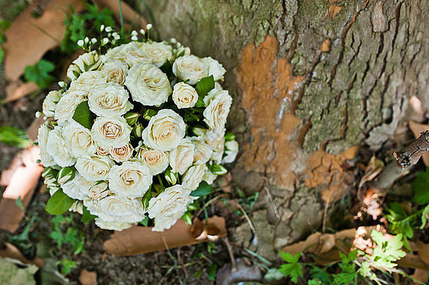 婚礼花束背景树树皮