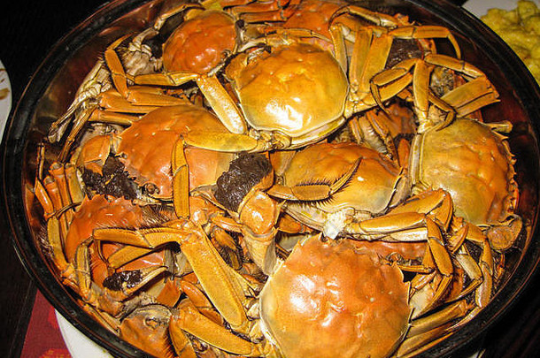 碗完整的蒸橙色多毛的螃蟹服务天津中国