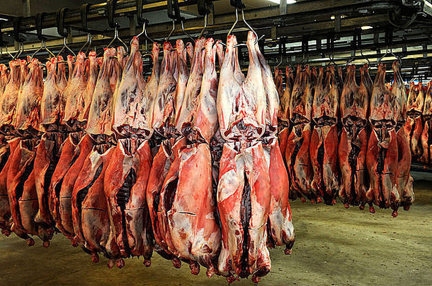 肉处理包装工厂