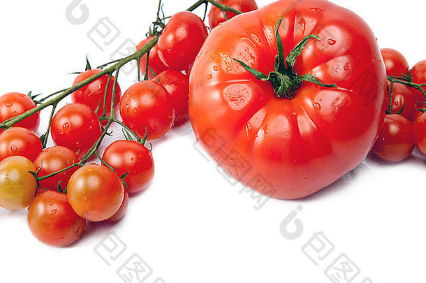 排序西红柿孤立的白色背景