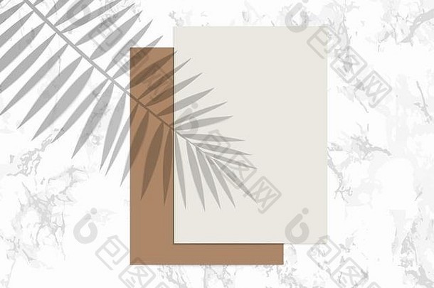 纸表模拟影子棕榈叶