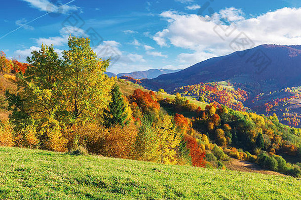 美妙的秋天风景山树秋天色彩斑斓的树叶长满草的草地山云蓝色的天空遥远的脊