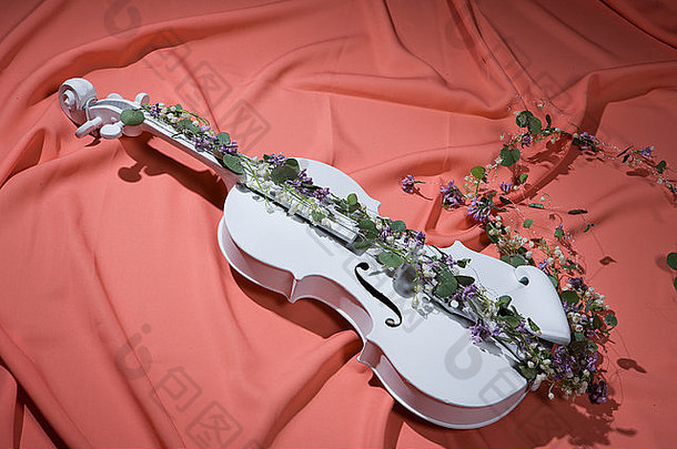 小提琴仪器音乐花经典<strong>字</strong>符串音乐的阀杆美古董自然花瓣木浪漫美丽的传统的