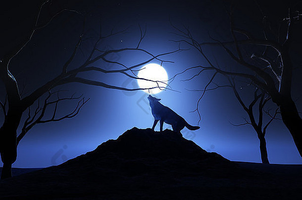 景观背景狼咆哮月亮