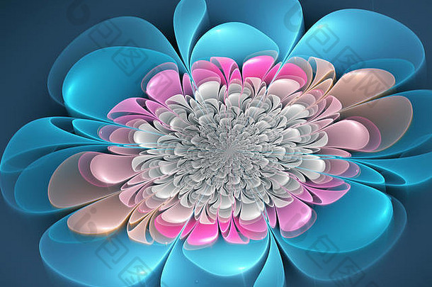 五彩缤纷的对称的分形模式花蝴蝶彩色玻璃窗口风格电脑生成的图形