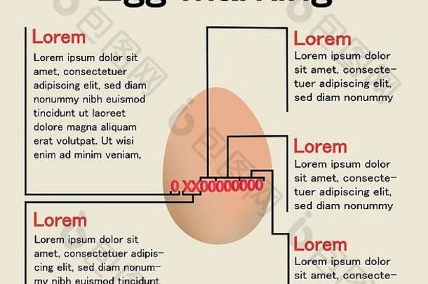 蛋标记演讲信息图表意义红色的代码鸡蛋规定生产起源食物