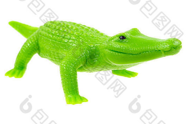 小玩具塑料绿色鳄鱼白色背景