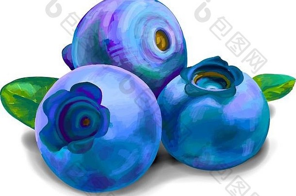 蓝莓甜蜜的水果森林浆果