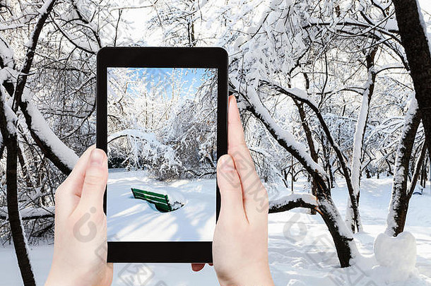 旅行概念<strong>旅游照片</strong>绿色板凳上白雪覆盖的城市花园莫斯科俄罗斯阳光明媚的冬天早....智能手机莫斯科