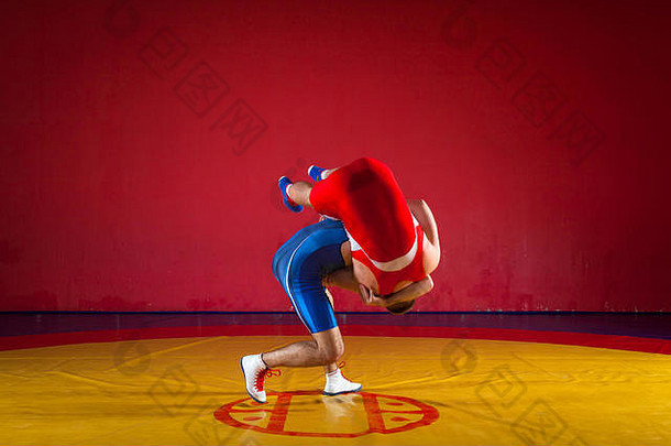 强大的摔跤手蓝色的红色的摔跤连裤袜wrestlng使后拉抱摔跤黄色的摔跤地毯健身房年轻的男人。