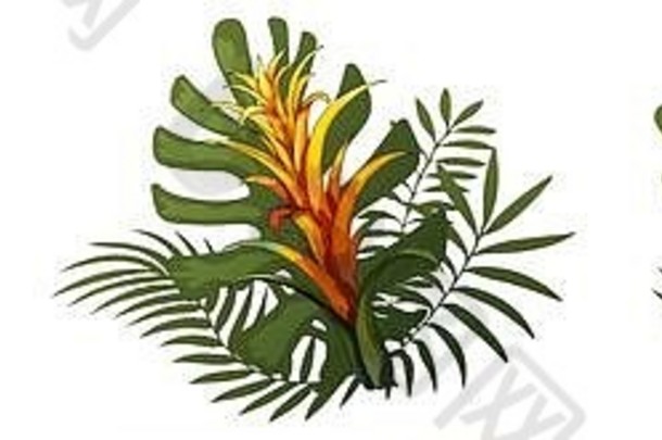 异国情调的花热带叶子设计元素向量花插图