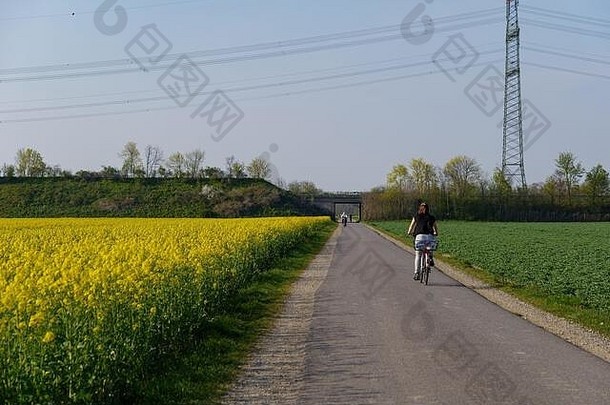 人骑自行车慢跑小路农村黄色的油菜籽开花场春天夏天季节蓝色的天空