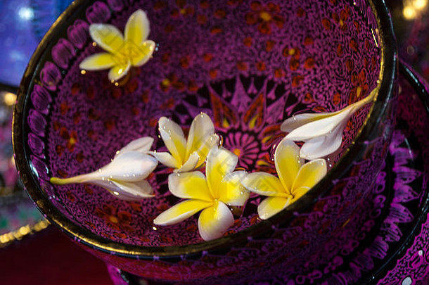 鸡蛋花花浮动水紫色的装饰亚洲碗