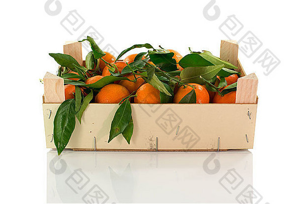 木盒子Mandarines孤立的白色