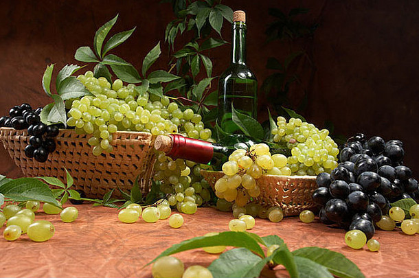 白色干酒新鲜的集群葡萄