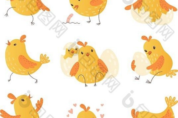 卡通鸡蛋可爱的黄色的农场鸟有趣的小鸡向量字符集合