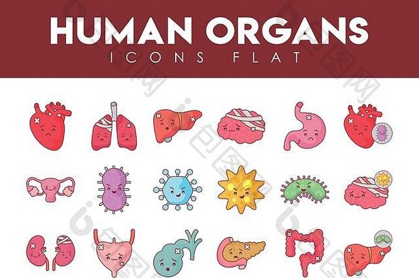 平风格图标集设计人类器官病毒医疗护理主题向量插图
