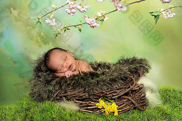 睡觉非洲婴儿春天复活节巢
