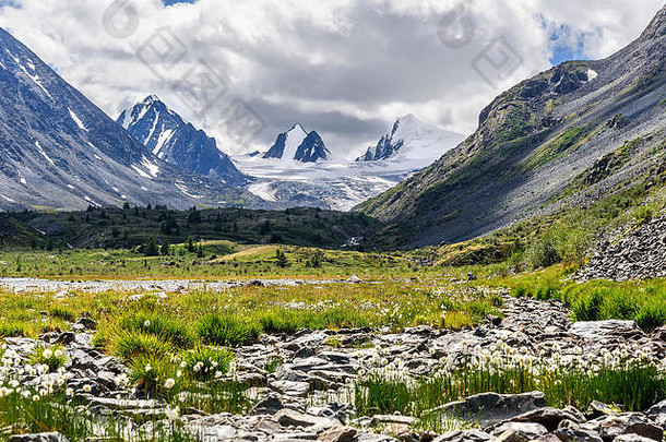 美丽的视图山指出雪山峰冰川白色毛茸茸的花埃里奥弗鲁姆石头背景多云的天空
