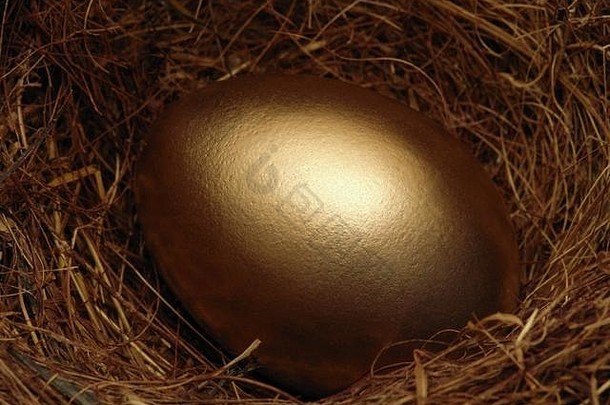 金蛋鸟的巢储备金黄金