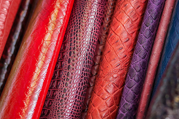 特写镜头多色的自然皮革红色的紫色的蓝色的皮肤蛇爬行动物模式使真正的皮革