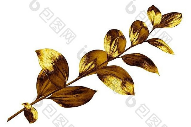 树分支金叶子白色背景孤立的特写镜头装饰黄金颜色植物用钉子钉上黄色的闪亮的金属嫩枝树叶插图