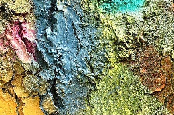 关闭表面色彩斑斓的树树皮喷涂鸦油漆