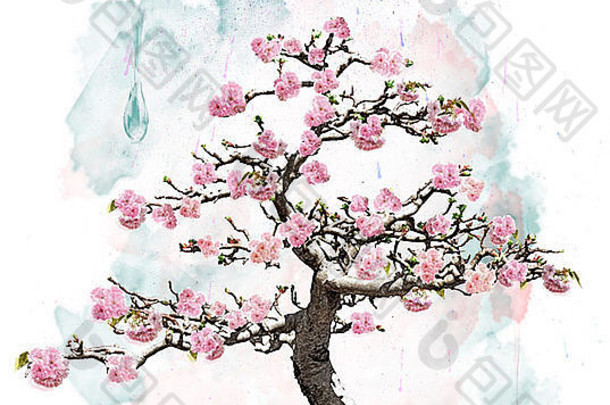 水彩图像粉红色的开花树