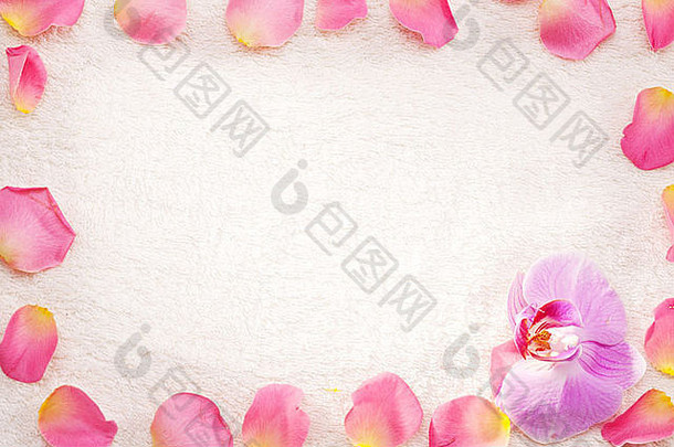 玫瑰花瓣安排框架白色毛巾