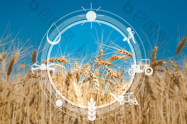 数字传感器图标管理监控农业
