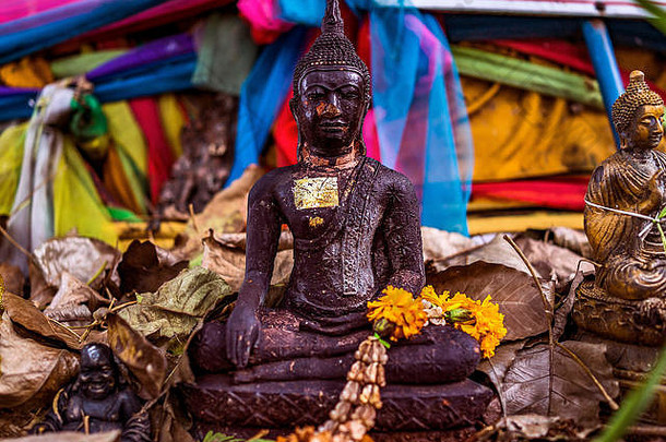 特写镜头受人尊敬的神圣的佛雕像曼谷泰国
