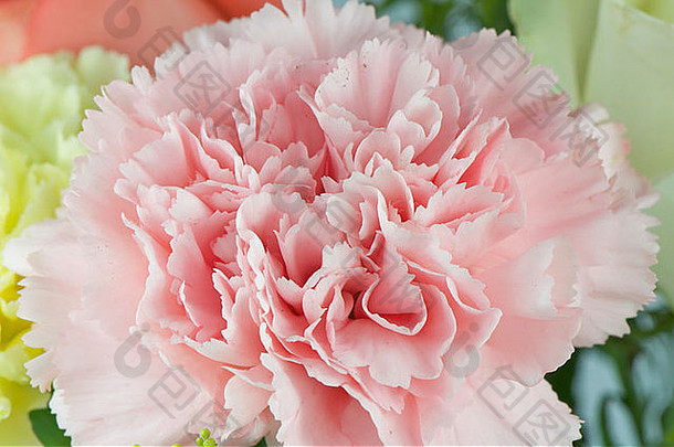 花花束玫瑰康乃馨满天星圆锥花婚礼庆祝活动