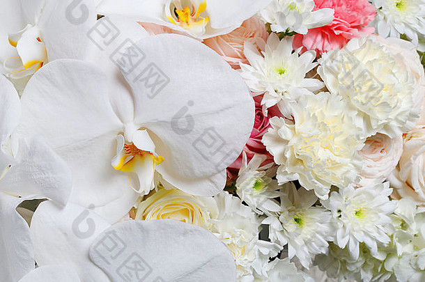 花安排白色兰花康乃馨菊花