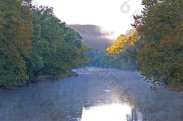 鹅飞行多雾的白兰地酒河切斯特县早期秋天秋天
