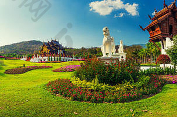 全景活跃的生活方式旅行夫妇享受令人惊异的视图泰国寺庙背景风景景观