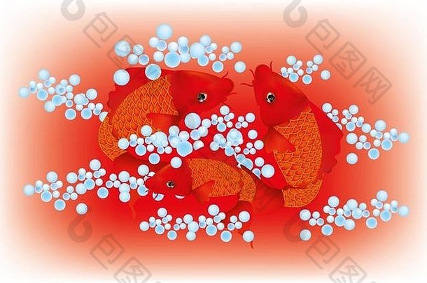 美丽的红色的锦 鲤鲤鱼池塘