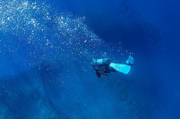 潜水潜水员海难水下地中海海法国欧洲